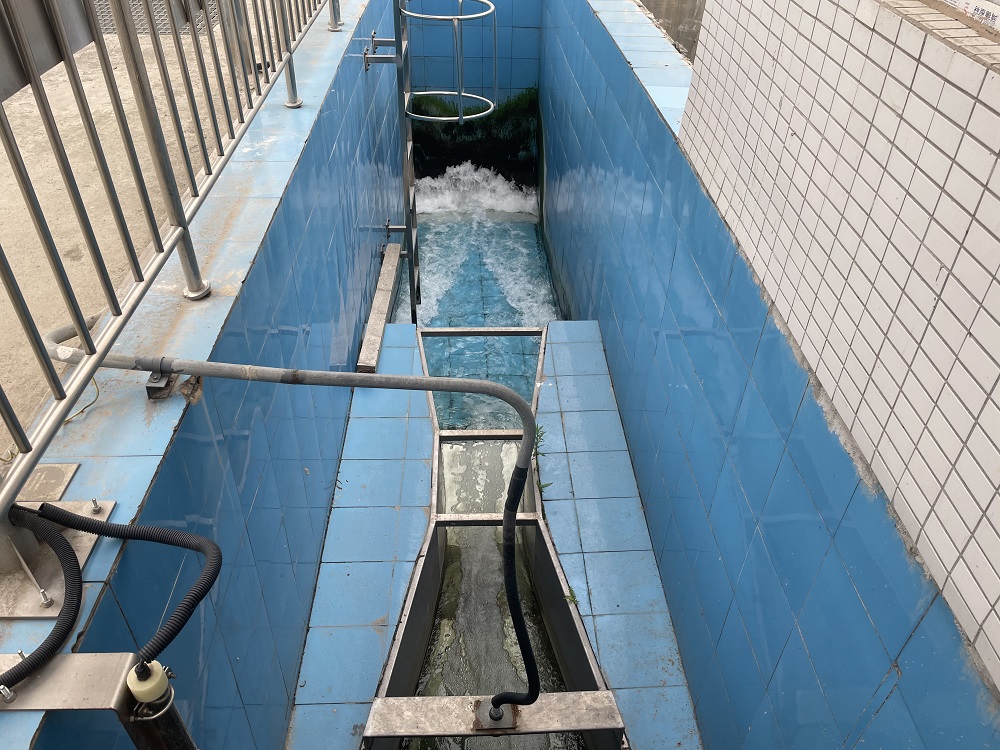 ΢ͼƬ_202104091216102